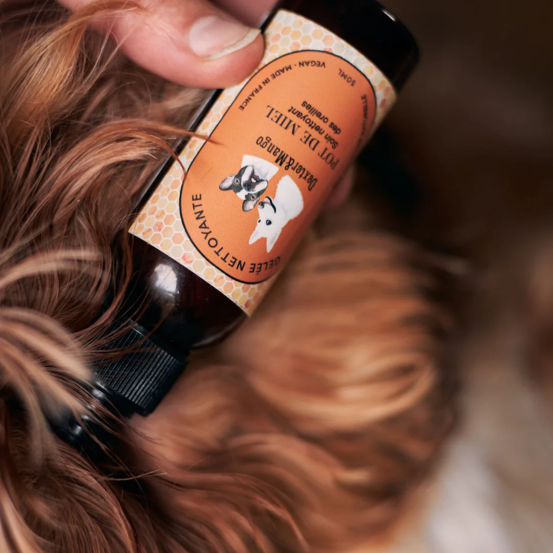 Gourmandises et coussinets. Application de la lotion nettoyante pour les oreilles dans l'oreille d'un chien. Une goutte appliquée avec soin pour un nettoyage en douceur et efficace. Formule spécialement conçue pour éliminer les impuretés, le cérumen et prévenir les infections auriculaires. Choisissez cette solution pour des oreilles propres, saines et apaisées chez votre fidèle compagnon canin. Soin naturel Otite.