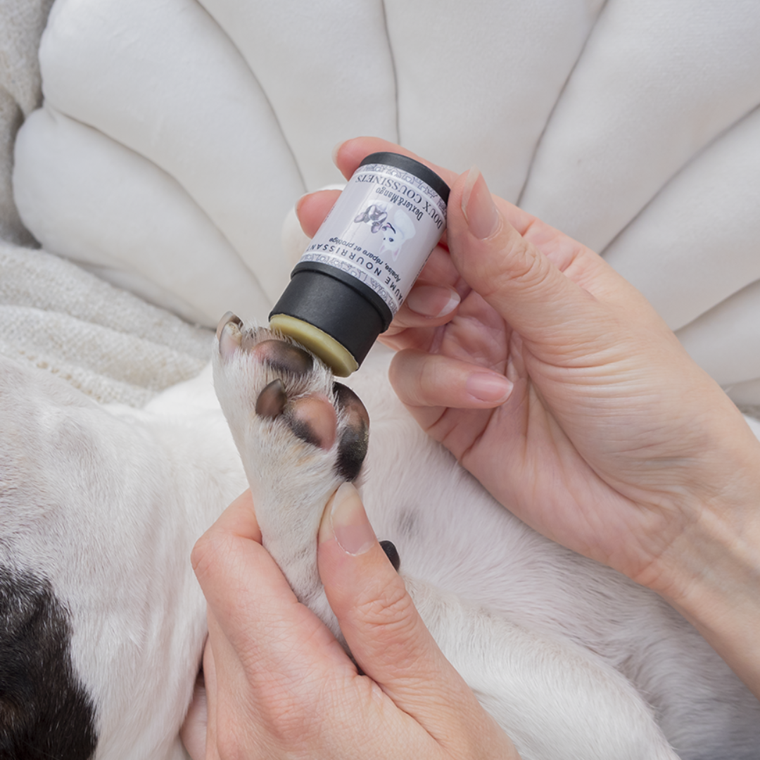 Gourmandises et coussinets. Chien recevant l'application du stick hydratant sur ses pattes. Offrez à votre compagnon canin des soins ciblés avec ce stick hydratant, formulé pour hydrater, protéger et maintenir la santé des pattes.