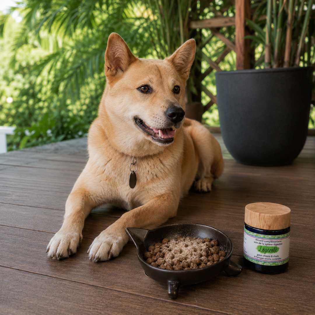 Sphère digestive - Chien & Chat
