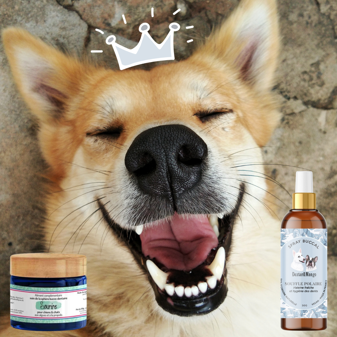 Friandises Pour Chiens HAPPET à La Menthe - 150g - Pour Haleine Fraîche Et Dents Saines - Récompense éducation