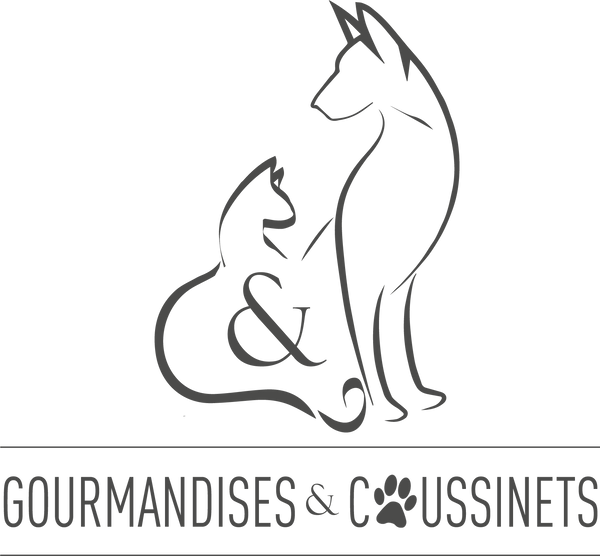 Gourmandises et Coussinets : Du naturel pour Chien et Chat