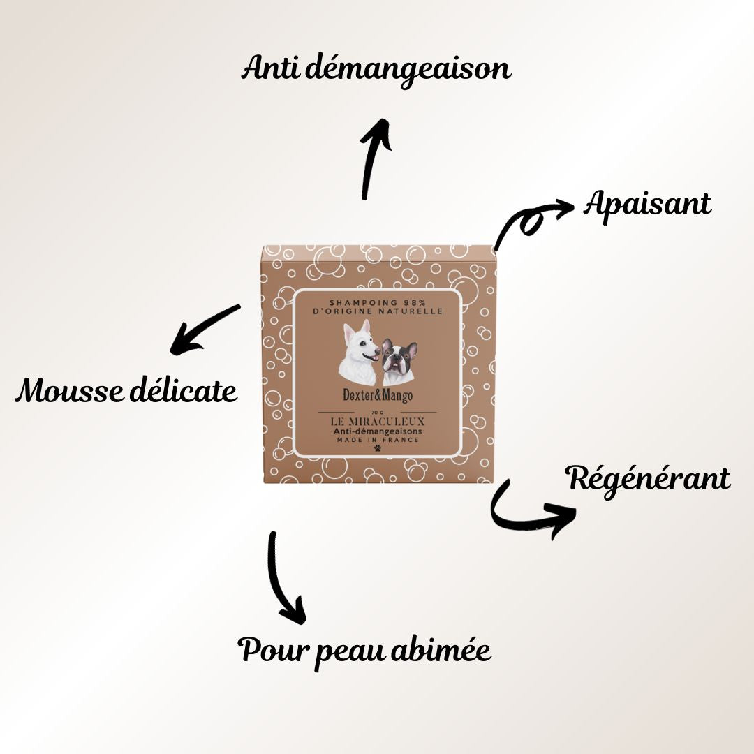 Gourmandises et coussinets. Schéma illustrant les bienfaits du shampoing solide pour chien, spécialement formulé pour les peaux abîmées. 1. Nettoie en douceur. 2. Apaise les irritations cutanées. 3. Favorise la régénération de la peau. Choisissez notre solution pour offrir à votre chien une expérience de toilettage complète, favorisant une peau saine et un pelage resplendissant.