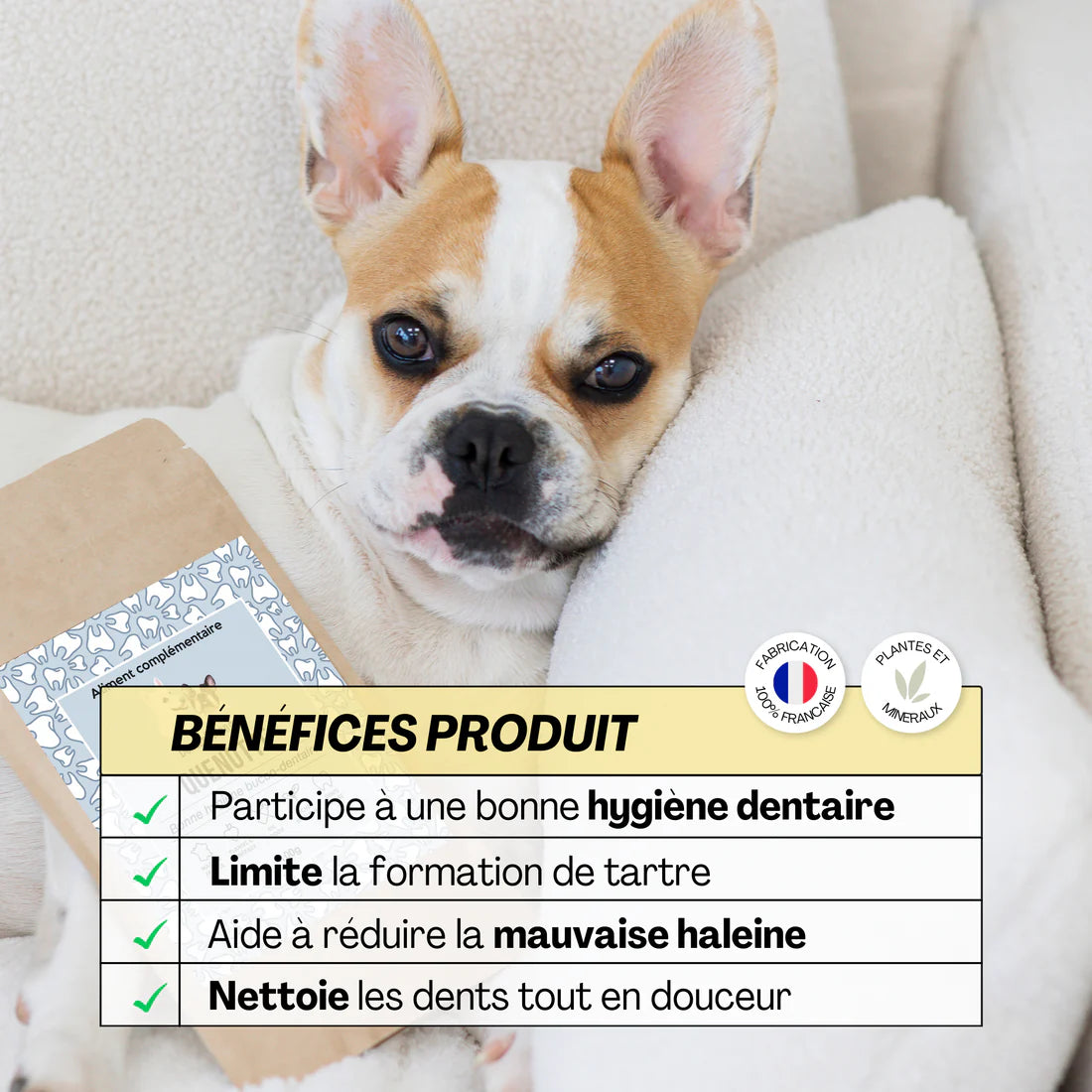 Dentifrice naturel pour chiens et chats, Quenotte, formulé avec des poudres de plantes et minéraux pour maintenir une bonne hygiène bucco-dentaire et une haleine fraîche. limite la formation de tartre, réduit la mauvaise haleine, nettoie les dents.