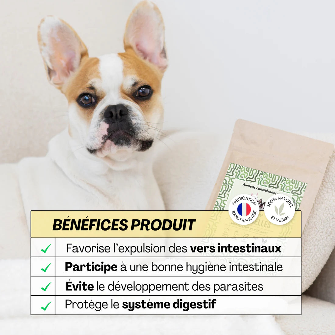 Complément Alimentaire - Vermifuge Naturel pour Chiens et Chats